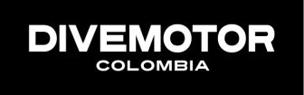 Logo Divemotor5.5x2cm-02 (2)